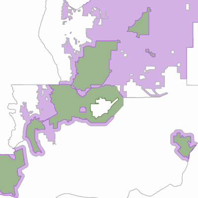 Export Image
