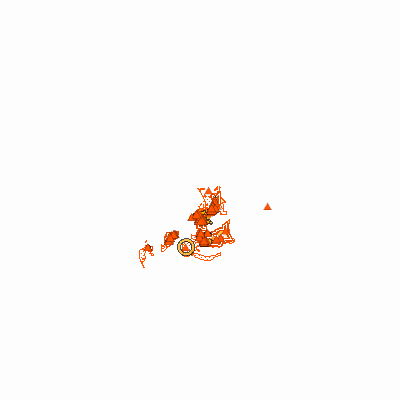 Export Image