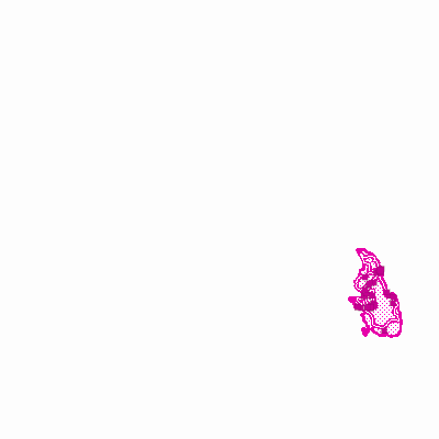Export Image