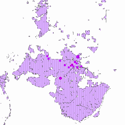 Export Image
